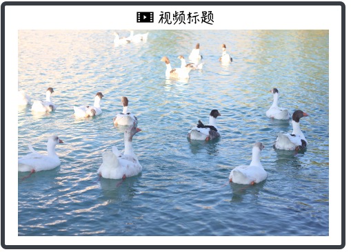 公司评论 (18) - 九游APP1